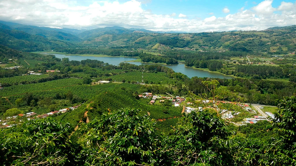 image of Zalmari Estate coffee farm by a lake in Costa Rica